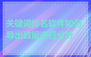 关键词排名软件如何导出数据进行分析