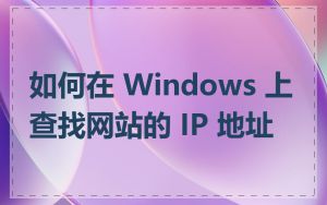 如何在 Windows 上查找网站的 IP 地址