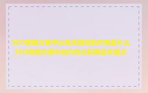 SEO策略方案中长尾关键词的作用是什么_SEO策略方案中站内优化有哪些关键点
