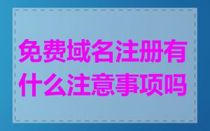 免费域名注册有什么注意事项吗