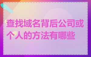 查找域名背后公司或个人的方法有哪些