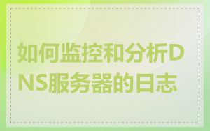 如何监控和分析DNS服务器的日志