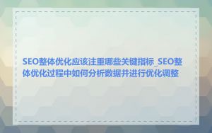 SEO整体优化应该注重哪些关键指标_SEO整体优化过程中如何分析数据并进行优化调整