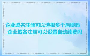 企业域名注册可以选择多个后缀吗_企业域名注册可以设置自动续费吗