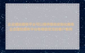 企业建站服务平台可以提供哪些定制化服务_企业建站服务平台有哪些常见的客户案例