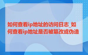 如何查看ip地址的访问日志_如何查看ip地址是否被篡改或伪造