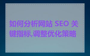 如何分析网站 SEO 关键指标,调整优化策略