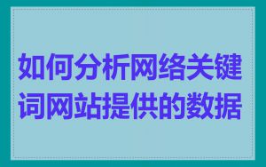 如何分析网络关键词网站提供的数据