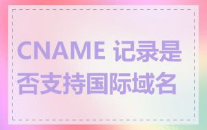 CNAME 记录是否支持国际域名