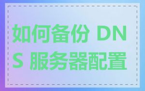 如何备份 DNS 服务器配置