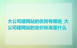 大公司建网站的优势有哪些_大公司建网站的定价标准是什么