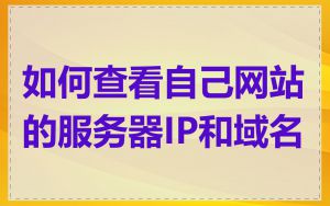 如何查看自己网站的服务器IP和域名