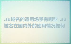 .su域名的适用场景有哪些_.su域名在国内外的使用情况如何