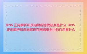 DNS 正向解析和反向解析的优缺点是什么_DNS 正向解析和反向解析在网络安全中的作用是什么