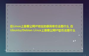 在Linux上查看公网IP地址的最简单方法是什么_在Ubuntu/Debian Linux上查看公网IP的方法是什么