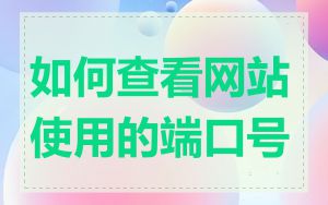 如何查看网站使用的端口号