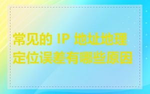 常见的 IP 地址地理定位误差有哪些原因