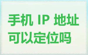 手机 IP 地址可以定位吗