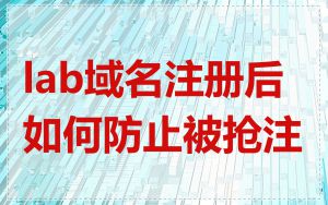 lab域名注册后如何防止被抢注