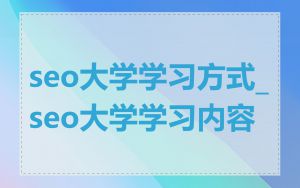 seo大学学习方式_seo大学学习内容