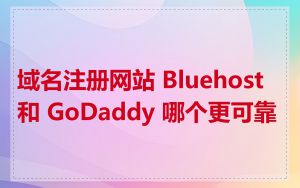 域名注册网站 Bluehost 和 GoDaddy 哪个更可靠