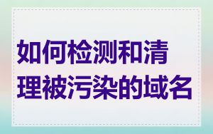 如何检测和清理被污染的域名