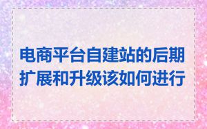 电商平台自建站的后期扩展和升级该如何进行