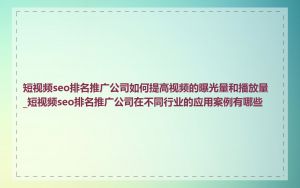 短视频seo排名推广公司如何提高视频的曝光量和播放量_短视频seo排名推广公司在不同行业的应用案例有哪些