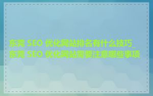 东莞 SEO 优化网站排名有什么技巧_东莞 SEO 优化网站需要注意哪些事项