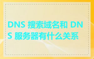 DNS 搜索域名和 DNS 服务器有什么关系