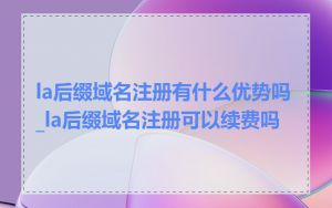la后缀域名注册有什么优势吗_la后缀域名注册可以续费吗