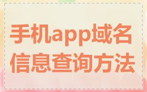 手机app域名信息查询方法