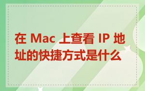 在 Mac 上查看 IP 地址的快捷方式是什么