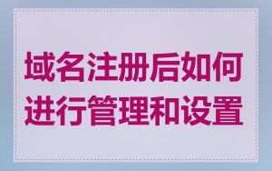 域名注册后如何进行管理和设置