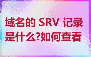 域名的 SRV 记录是什么?如何查看