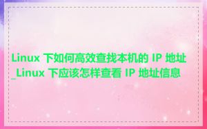 Linux 下如何高效查找本机的 IP 地址_Linux 下应该怎样查看 IP 地址信息