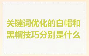 关键词优化的白帽和黑帽技巧分别是什么