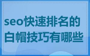 seo快速排名的白帽技巧有哪些