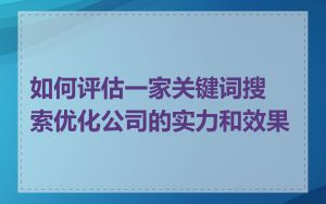 如何评估一家关键词搜索优化公司的实力和效果