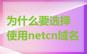 为什么要选择使用netcn域名