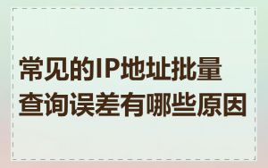 常见的IP地址批量查询误差有哪些原因