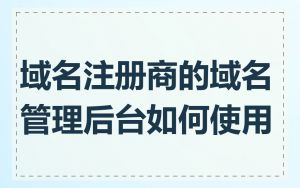 域名注册商的域名管理后台如何使用