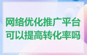 网络优化推广平台可以提高转化率吗