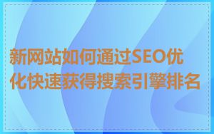 新网站如何通过SEO优化快速获得搜索引擎排名