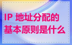 IP 地址分配的基本原则是什么