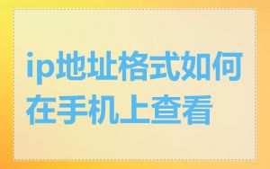 ip地址格式如何在手机上查看