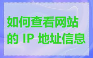 如何查看网站的 IP 地址信息