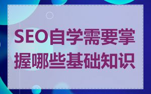SEO自学需要掌握哪些基础知识