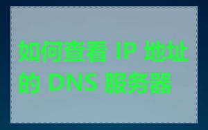 如何查看 IP 地址的 DNS 服务器
