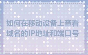 如何在移动设备上查看域名的IP地址和端口号